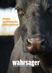 Film- und Medientage Havelland · Wahrsager 1 (Festivaldokumentation) · 2010